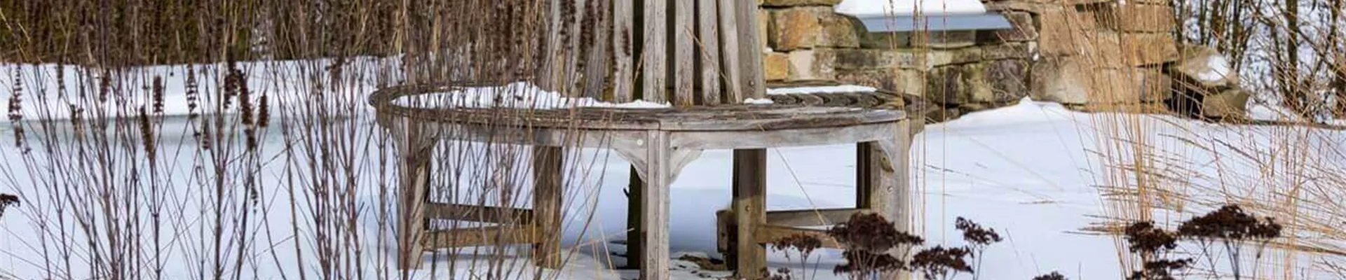 Winterschutz-fuer-Pflanzen.jpg Winterschutz-fuer-Pflanzen.jpg