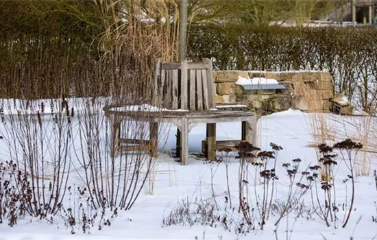 Tipps zum Winterschutz für Pflanzen | Bauer Baumschulen Tipps zum Winterschutz für Pflanzen | Bauer Baumschulen