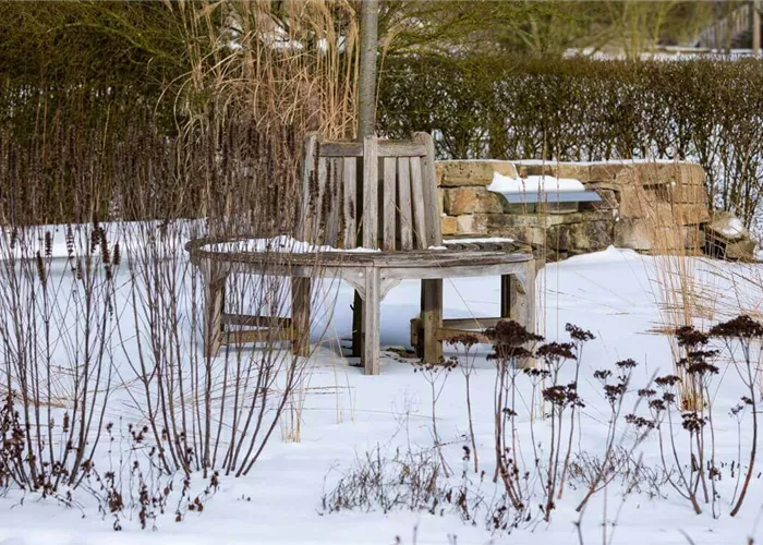 Tipps zum Winterschutz für Pflanzen | Bauer Baumschulen