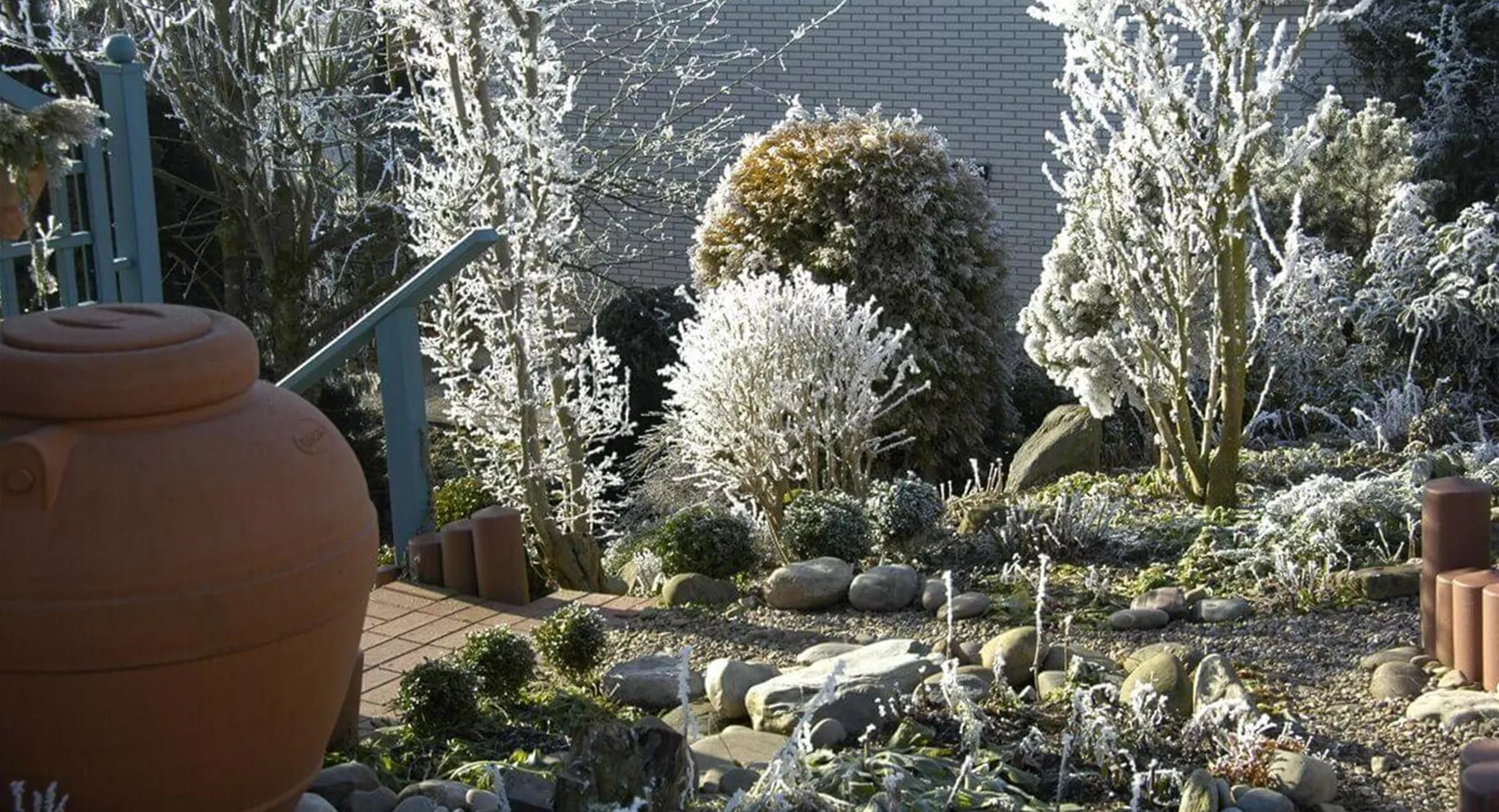 Wann brauchen Pflanzen Winterschutz Wann brauchen Pflanzen Winterschutz