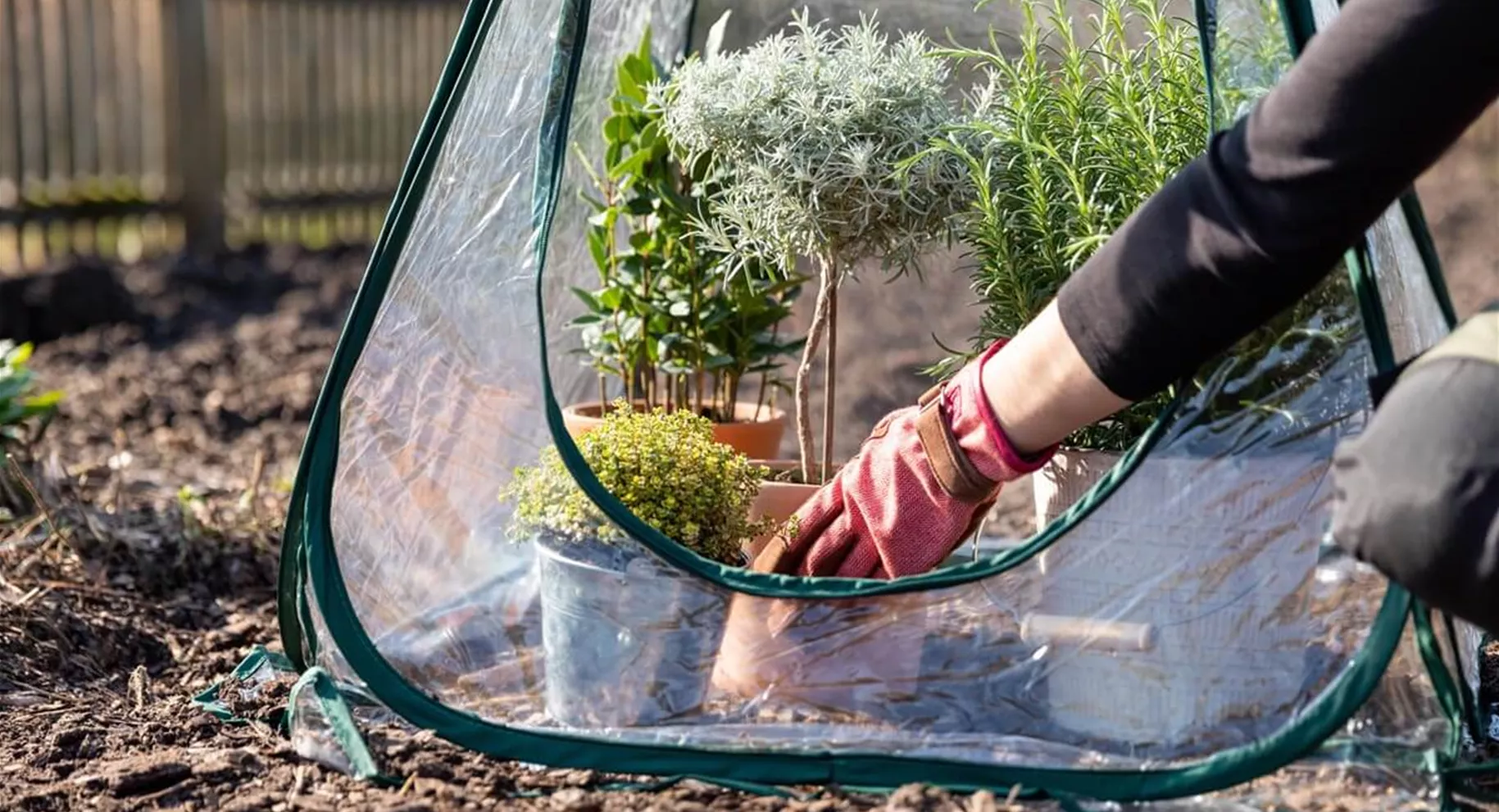 Pflanzenschutz-Zelt für den Winter Pflanzenschutz-Zelt für den Winter
