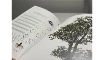 Bauer Baumschulen AG