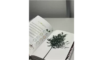 Bauer Baumschulen AG