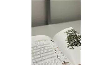 Bauer Baumschulen AG