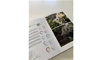 Bauer Baumschulen AG