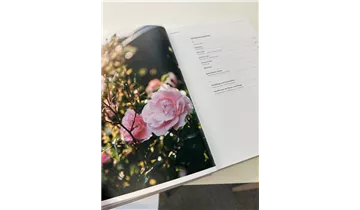 Bauer Baumschulen AG