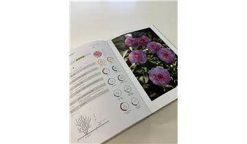 Bauer Baumschulen AG