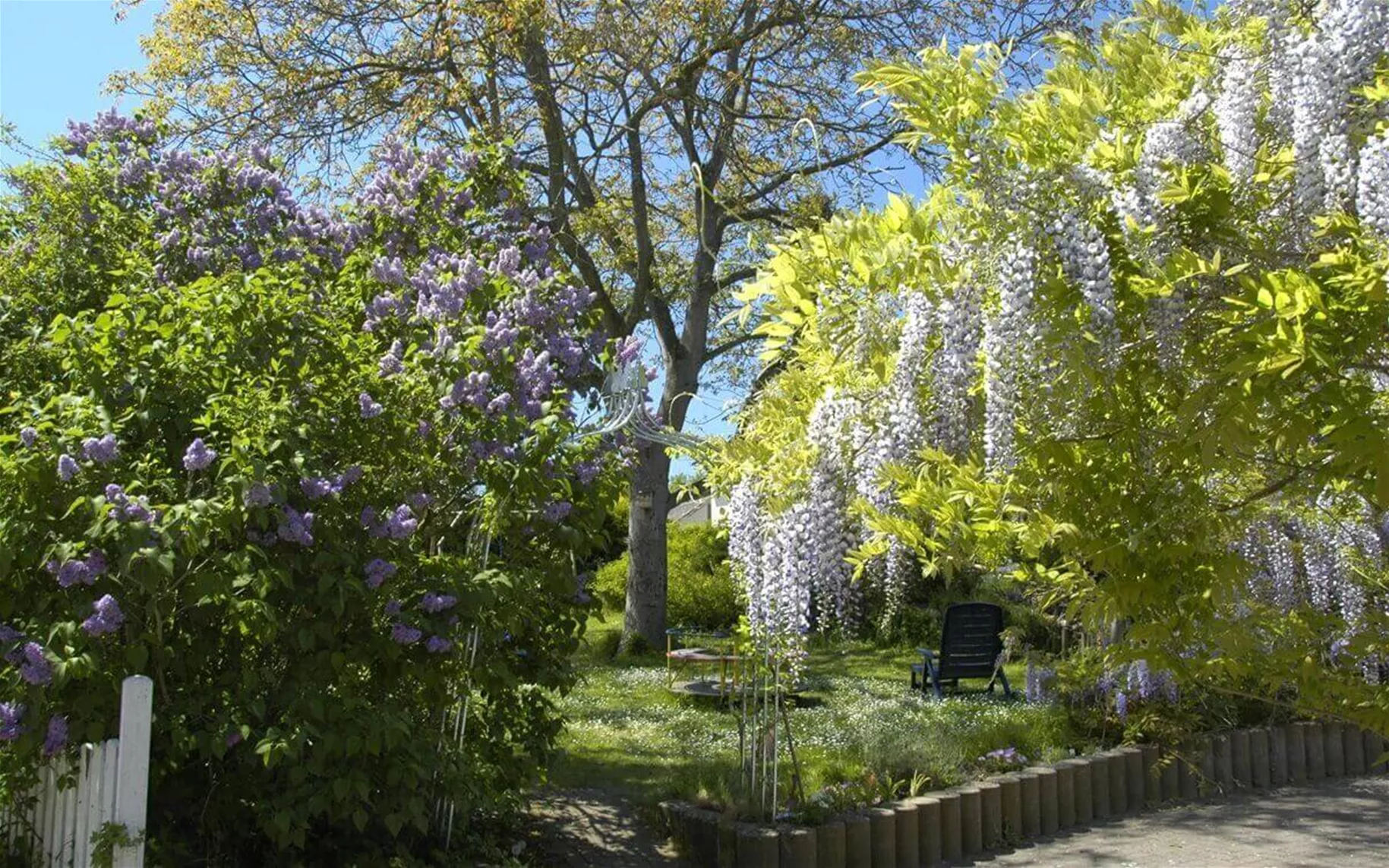 Laubgehölze für den Garten.jpg