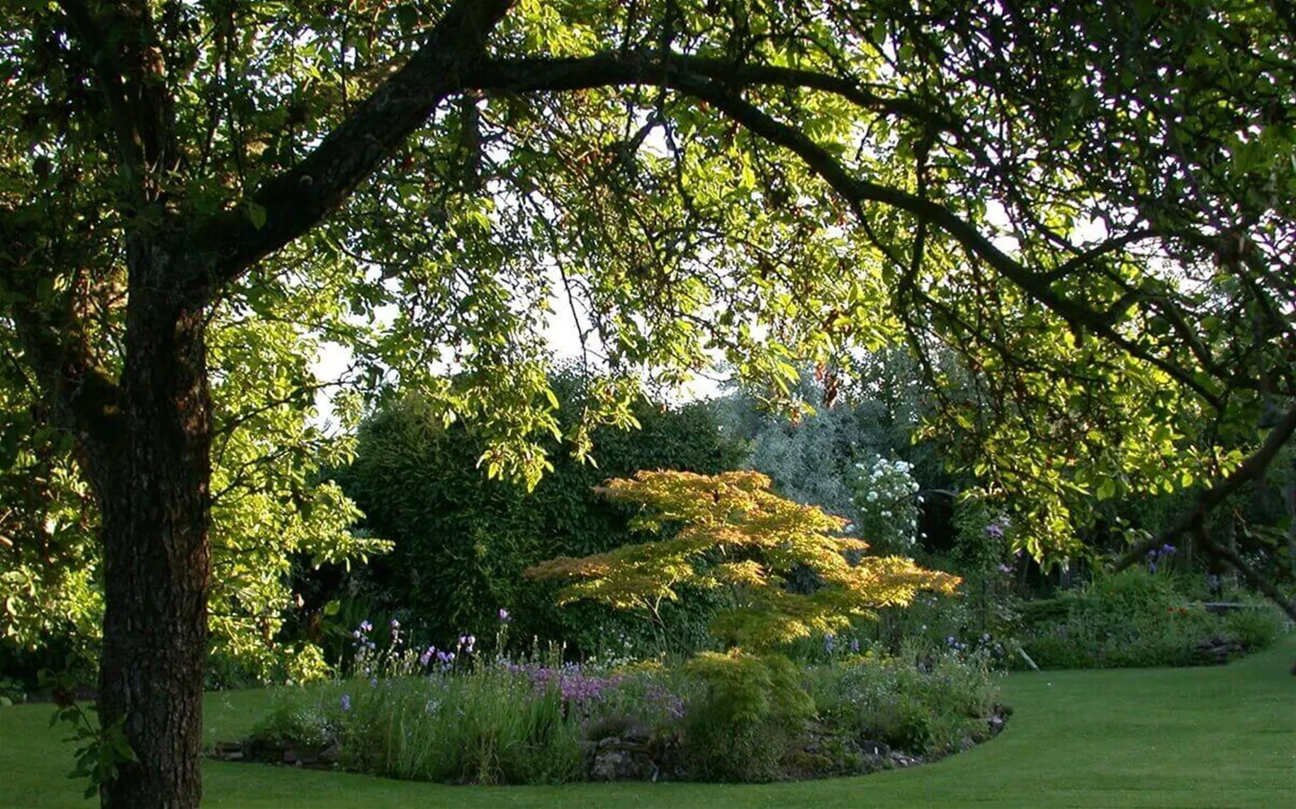 Gartengestaltung-mit-Alleebaeumen.jpg