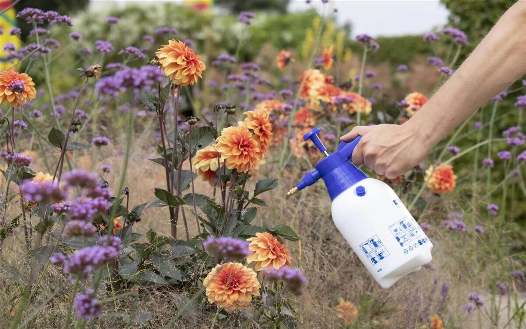 Pflanzenschutzmittel für den Garten kaufen