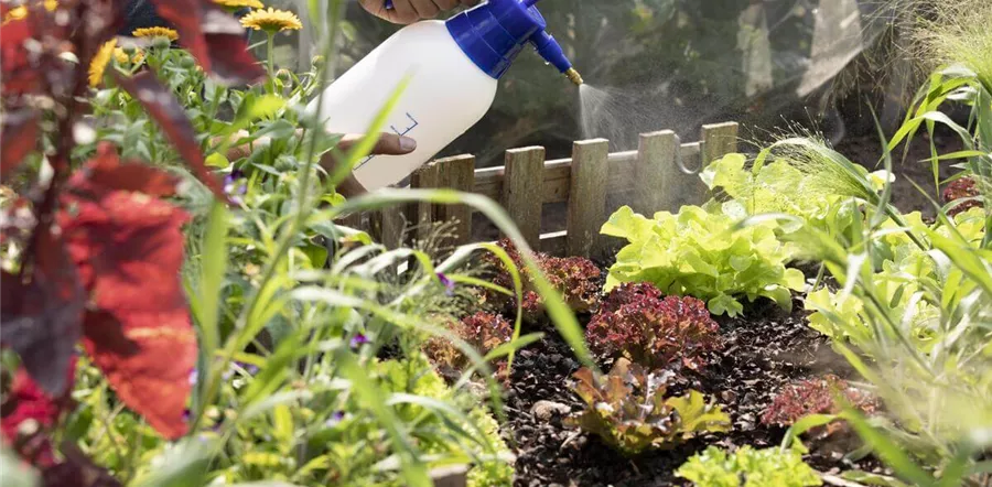 Pflanzenschutzmittel für den Gemüsegarten