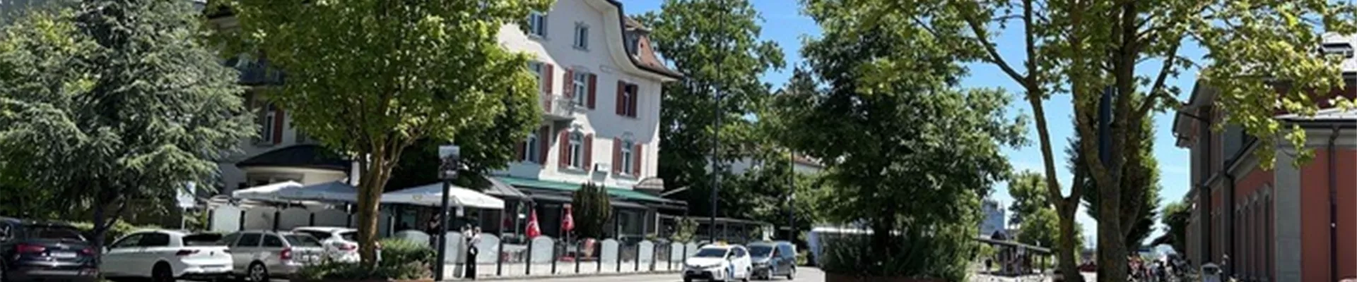 Mobile-Begruenung-Reinach