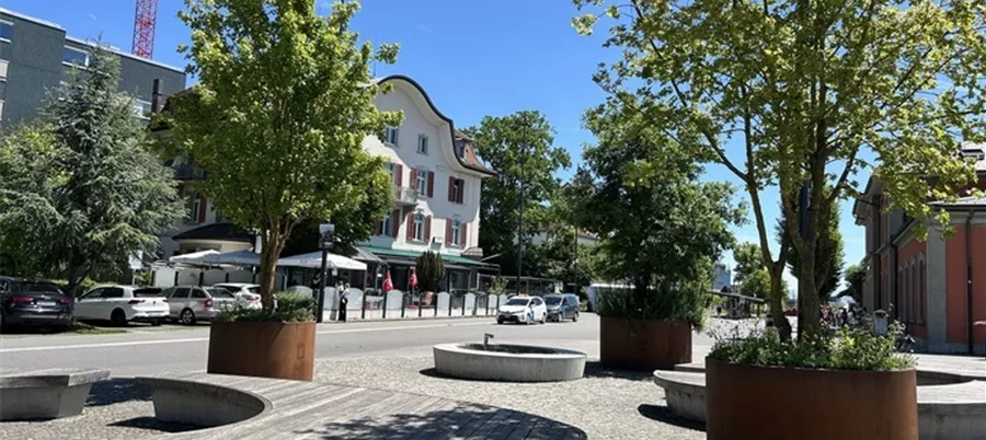 Mobile-Begruenung-Reinach.jpg