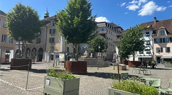 MobileGreen Solothurn