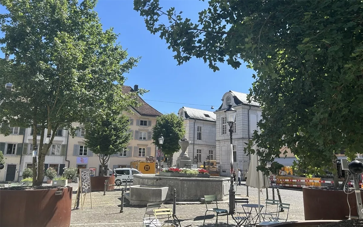 Mobile Begrünung in Solothurn
