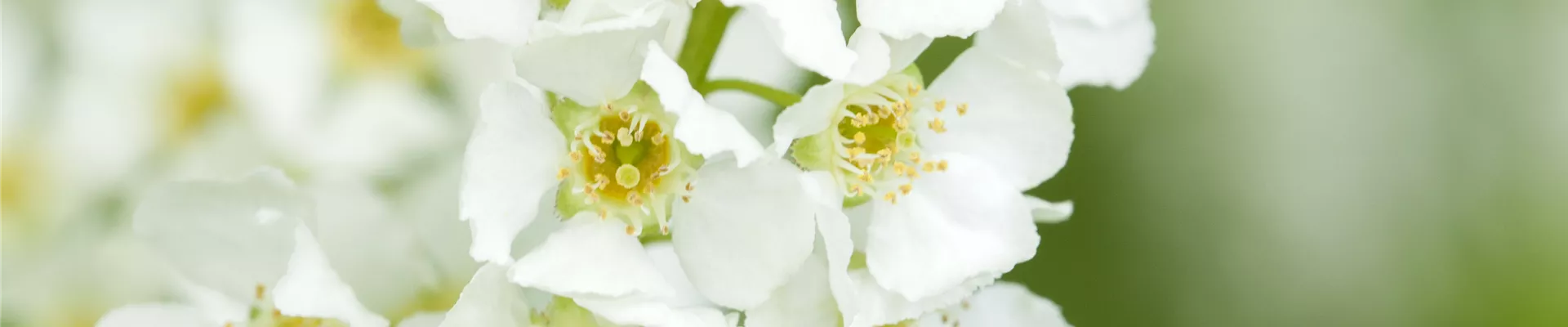 GS479198.jpg GS479198.jpg