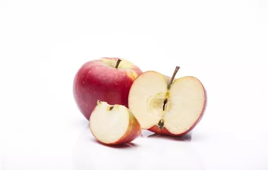 Malus (Apfel) 'Rubinola'